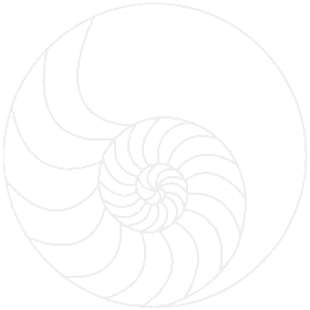 shell background